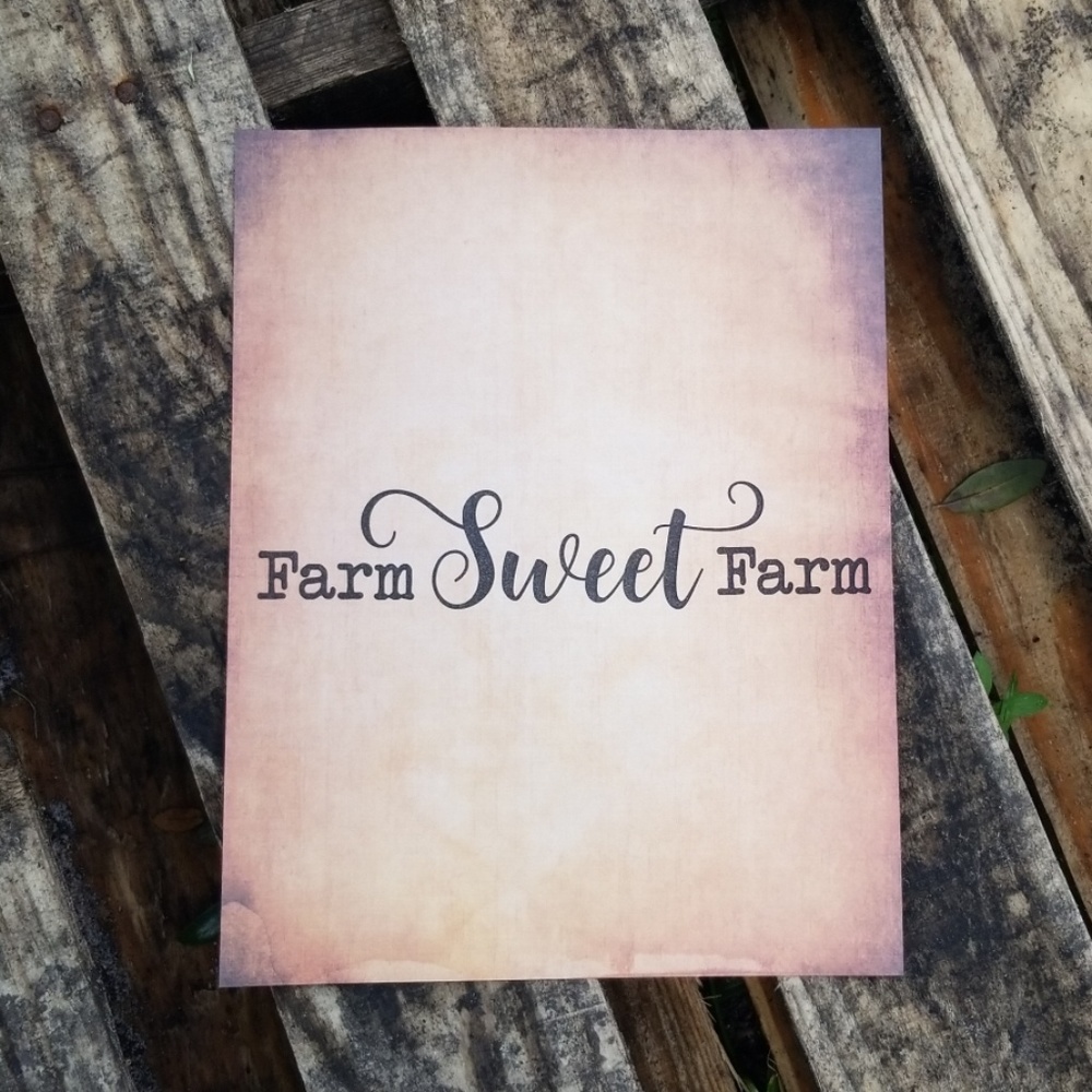 2 for $8 Vintage Designed Rustic Picture